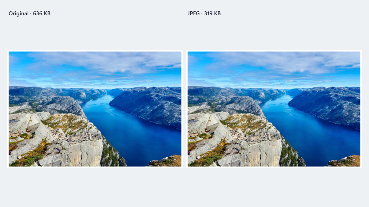 JPEG compressed from 636KB to 319KB in SnapShrink
